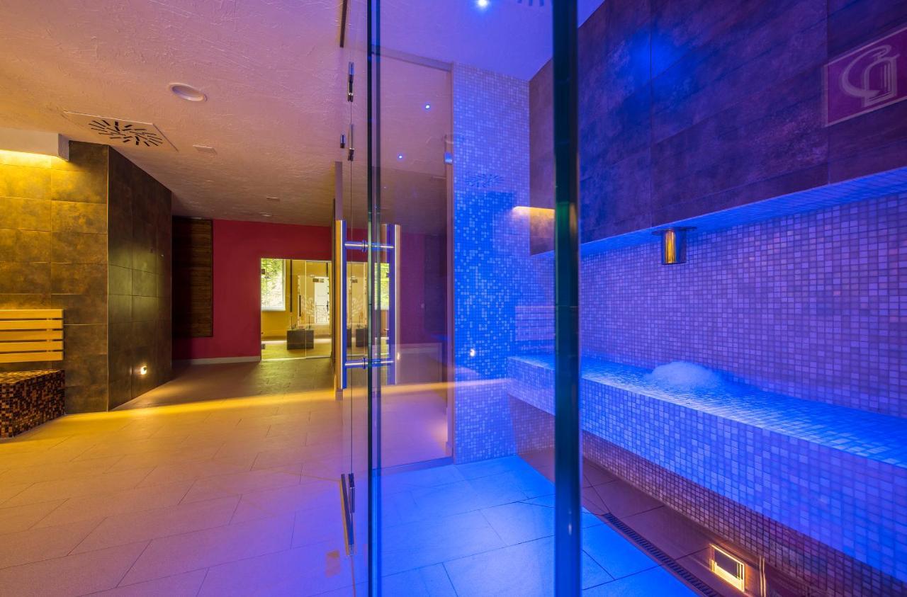 Wellness Penzion Smerdzonka - Kupele Pieniny Červený Kláštor Extérieur photo